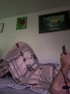 Toyjungeen Webbikameraesitys