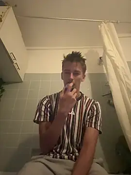 Toyjungee Pertunjukan Webcam
