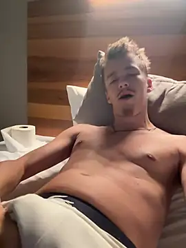 Toyjungeen Webbikameraesitys