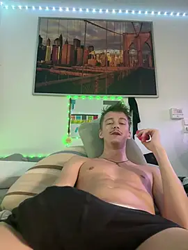 Toyjungee Pertunjukan Webcam