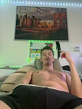 Toyjungee Pertunjukan Webcam