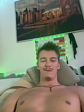 Show webcam de Toyjungee