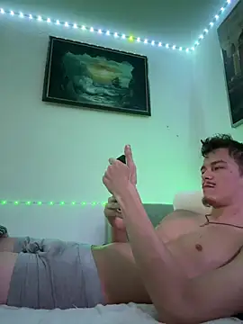 Toyjungee Webcam-Show