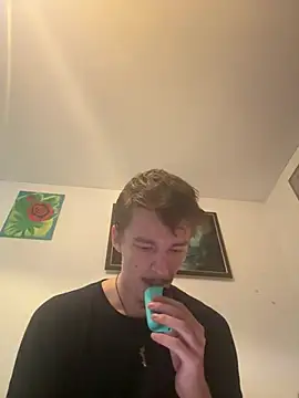 Toyjungee Webcam-Show