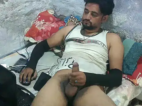 Show webcam de ROCOGUJUBULL