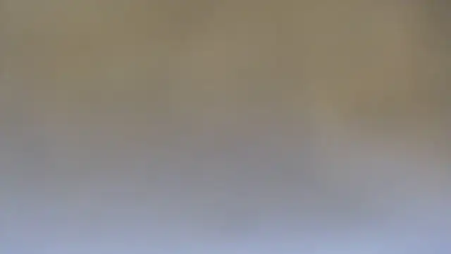 KarimaSarabe's Live Chat Room