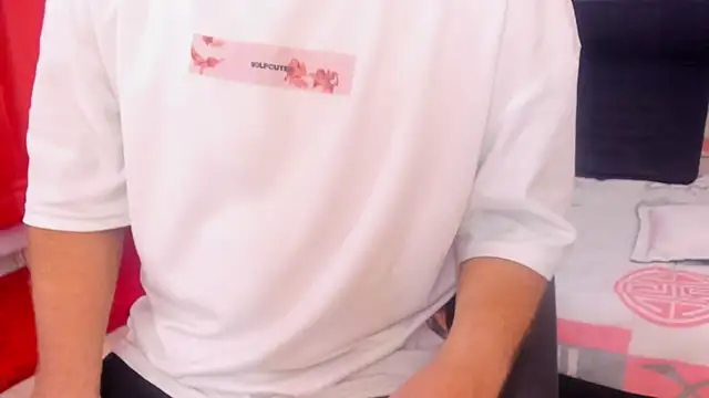 michacosioのウェブカメラショー