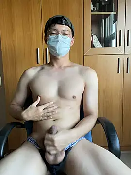 Show Webcam de h4779150