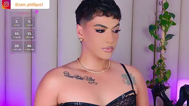 sam_phillipssn Webbikameraesitys