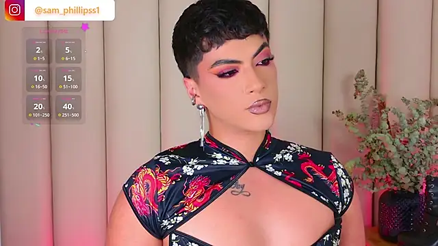 Show webcam de sam_phillipss