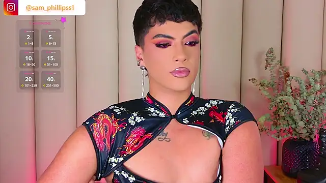 sam_phillipssn Webbikameraesitys