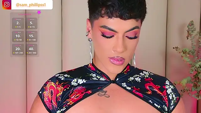 Show Webcam de sam_phillipss