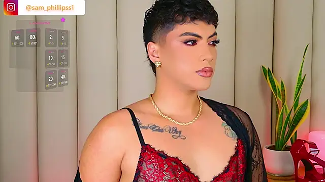 sam_phillipss Webcam-Show