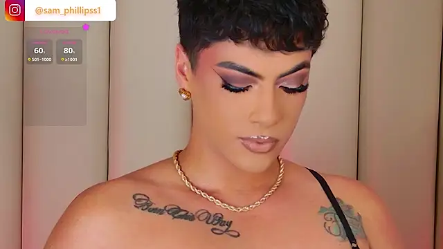 sam_phillipssn Webbikameraesitys