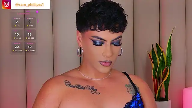 Show webcam de sam_phillipss
