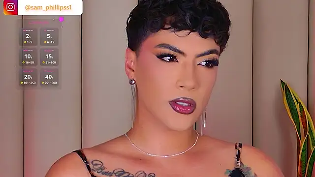 Show Webcam de sam_phillipss
