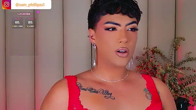 sam_phillipssn Webbikameraesitys