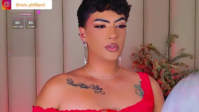 sam_phillipssn Webbikameraesitys