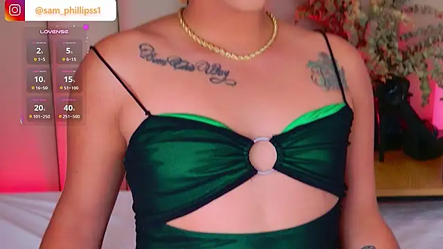 Show Webcam de sam_phillipss