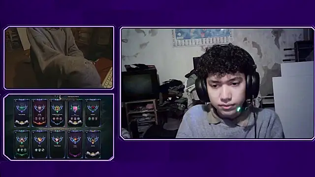 Show webcam de Emv2