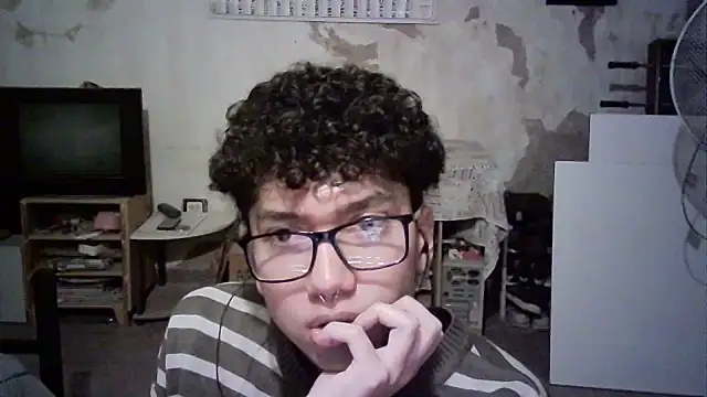 Emv2 Show in webcam