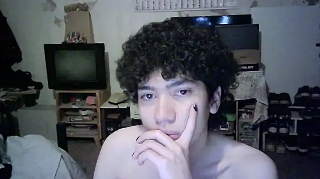 Show Webcam de Emv2