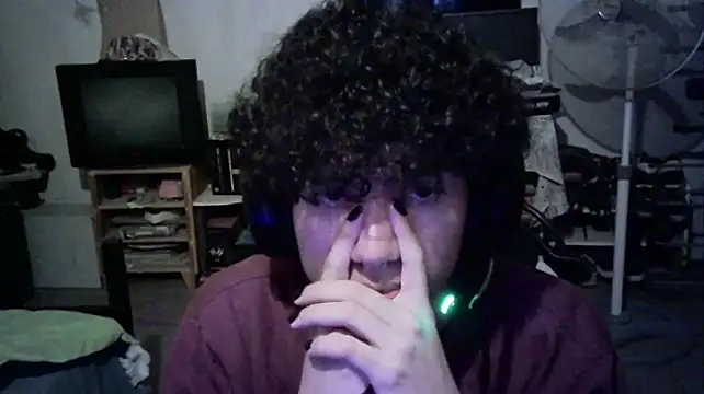 Emv2 Webcam show