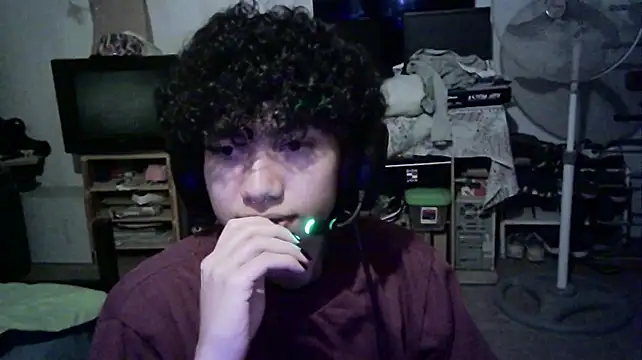 Show webcam de Emv2