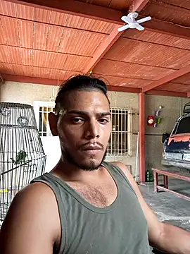 عرض كام apolodiosgriego