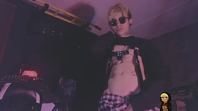 Show webcam de AcidMilo