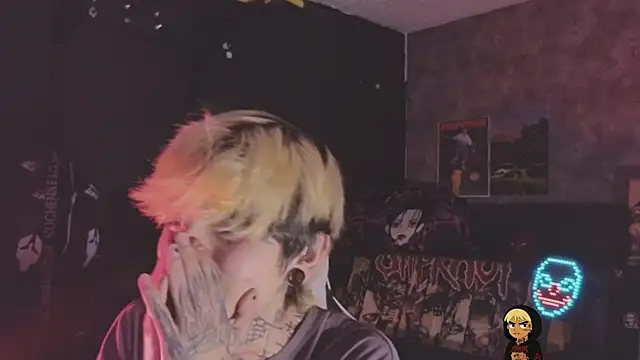 Show webcam de AcidMilo