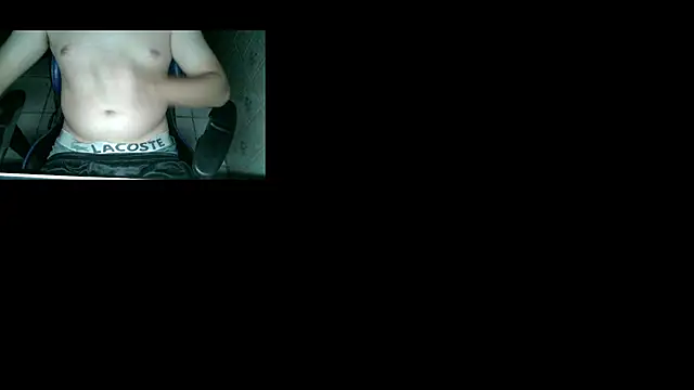 Show webcam de safado26