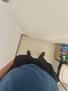 Widejiggle Webcam show
