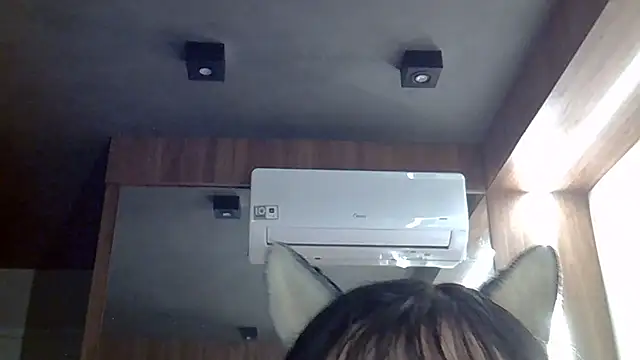 Show de webcam de SkinnyKitten