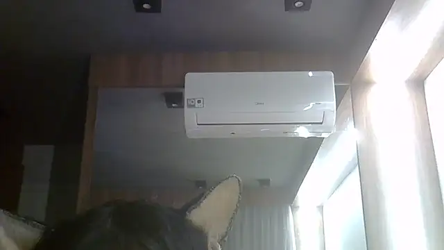 Show de SkinnyKitten na webcam
