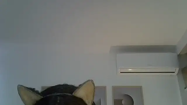 Show webcam de SkinnyKitten