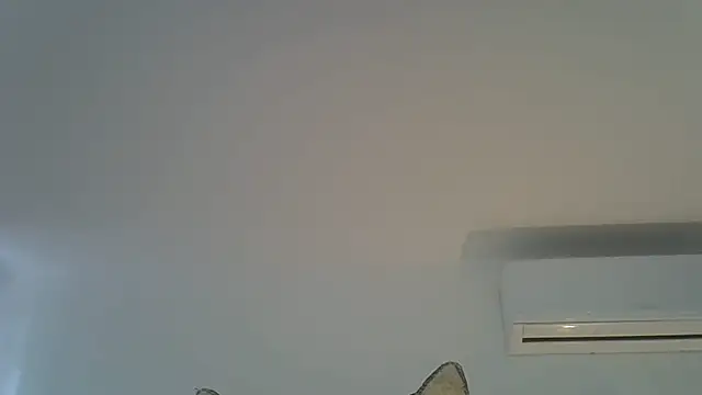 Show de SkinnyKitten na webcam