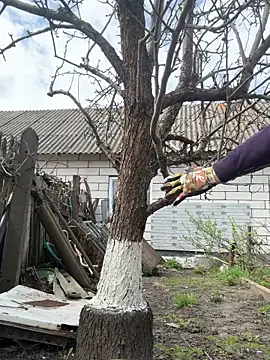 Show de webcam de Afonya344