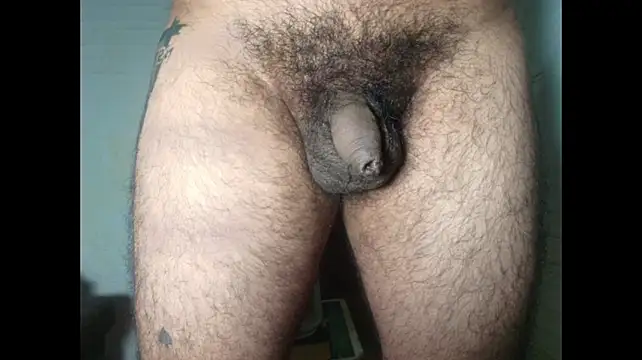 Show de Uncut_Hairy_Dick na webcam