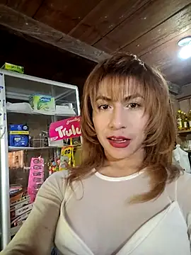 Evehampn Webbikameraesitys