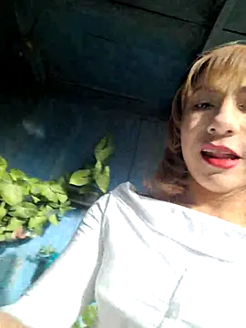 Evehamp Webcam Show