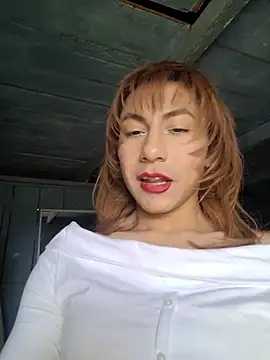 Evehamp Webcam-Show