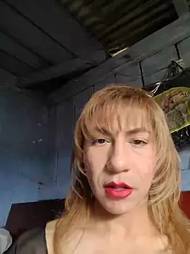 Evehampn Webbikameraesitys