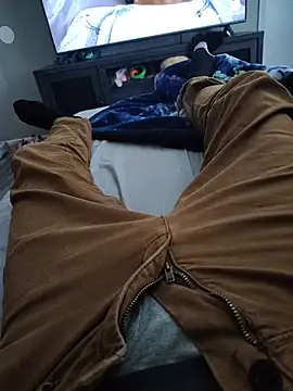ellovol Webcam-Show