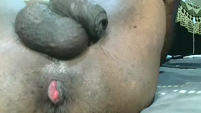 Pacalo09n Webbikameraesitys