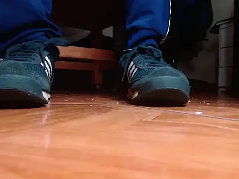 Show Webcam de alphaswitchard