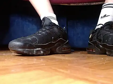 عرض كام alphaswitchard