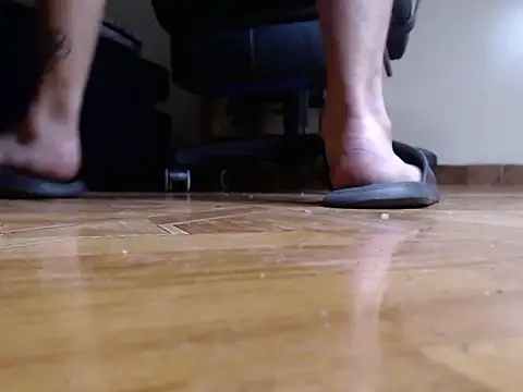Show de alphaswitchard na webcam