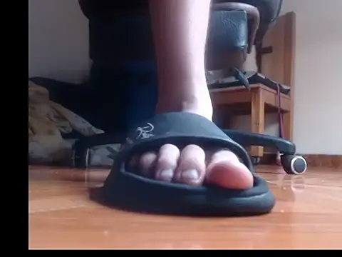عرض كام alphaswitchard