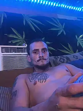 Show webcam de bugboy